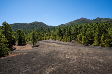 impressions of the volcanic island of la palma