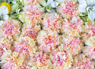Floral texture made of carnation and alstroemeria