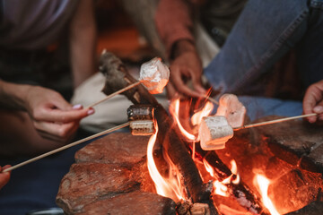 High angle view of people roasting marshmallows on skewers over fire pit at campsite, enjoying...