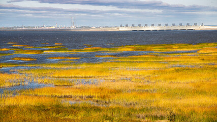 landscape with flowers