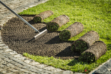 Natural Grass Turf Rolls Installation