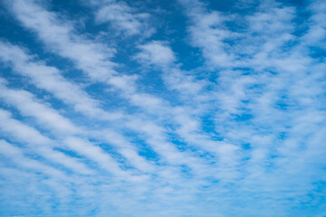 Interesting wavy lines of clouds probably cirrocumulus on a summer day. - obrazy, fototapety, plakaty