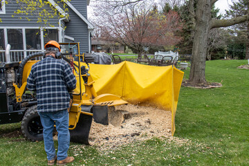 worker operating stump grinder machine