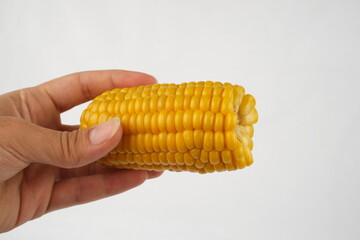 boiled corn on white background