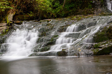 Obraz premium waterfall in the forest