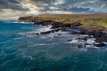 Drone aerial photograph of cows grazing at the coastal path inlet at Kiama