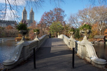 Central Park New-York