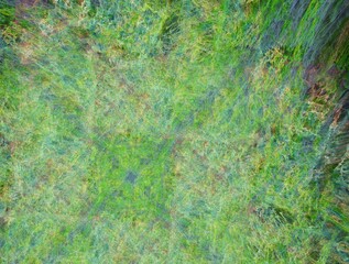 Imaginatory fractal abstract background Image