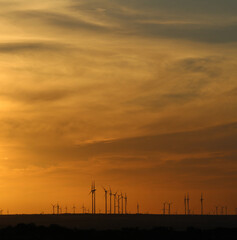 Windmills in the distance during sunset in West Texas. 