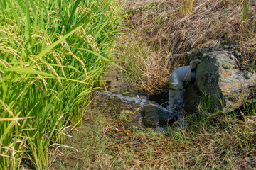 水田に水を引く給排水溝　バルブ