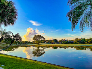 drainage canal in Florida swamps