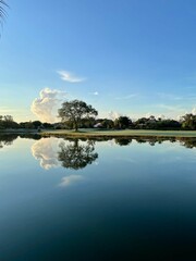 Obraz premium drainage canal in Florida swamps