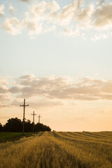 Obraz premium sunset over the field