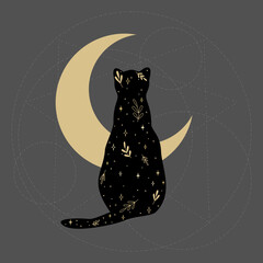 Czarny kot nowoczesnej wiedźmy z nocnym niebem, gałązkami i gwiazdami. Sylwetka magicznego kota na tle złotego półksiężyca. Ezoteryczna gotycka ilustracja wektorowa. - obrazy, fototapety, plakaty
