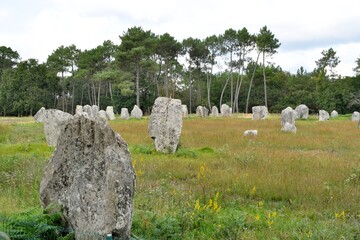 alignments of menhirs at Carnac in Brittany France