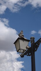old lamp