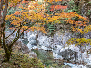 秋の三段峡