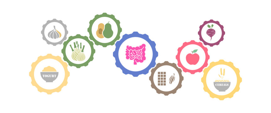 alimentos saludable para el intestino