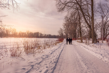 Naklejka premium Winter wonderland scene and landscape Ontario Canada