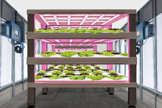 Smart farm indoor (LED) artificial grow light source used an on vegetables plant growth