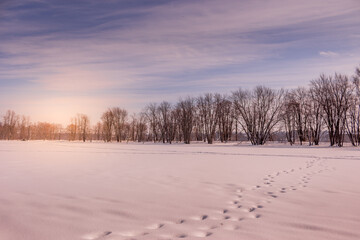 Winter wonderland scene and landscape Ontario Canada