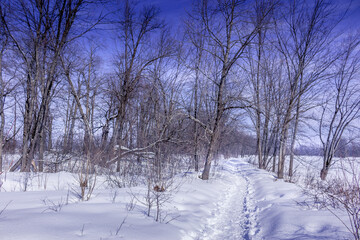 Fototapeta premium Winter wonderland scene and landscape Ontario Canada