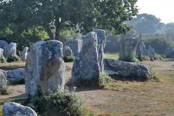 Beautiful menhirs alignment at Erdeven Kerzerho in Brittany Morbihan France