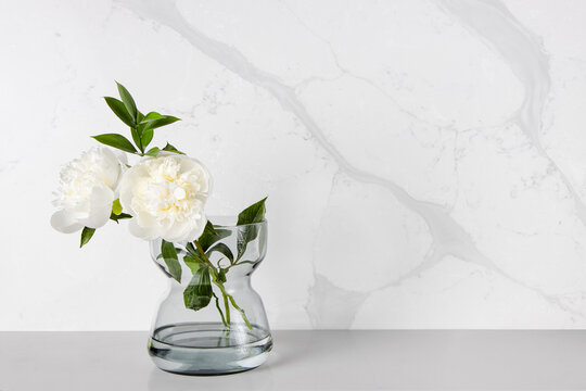 A couple of white peony flowers being placed in a transparent glass vase against a marble-veining kitchen backsplash which was made of quartz stones