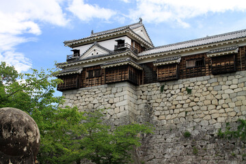 Obraz premium 松山城