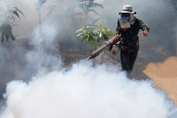 Workers are spraying get rid of mosquitoes at  forest sideways for stop spreading infections dengue...
