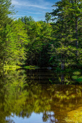 Fototapeta na wymiar a look at beaman pond in otter river state forest