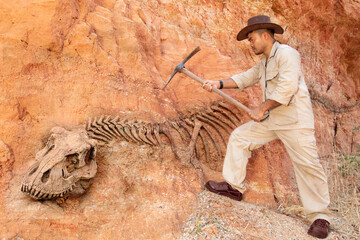 Archeologist works on an archaeological site with dinosaur skeleton in wall stone fossil...