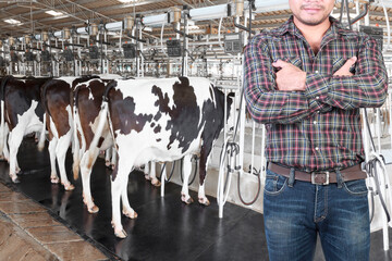 Farmer standing cross one's arm proud in front of cow milking facility and mechanized milking...