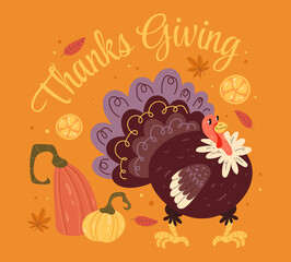 Thanksgiving turkey and pumpking vector flat graphic design illustration