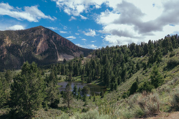 landscape in the mountains
