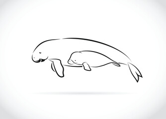 Vector of mother dugong and baby dugong design on white background. Easy editable layered vector illustration. Wild Animals.