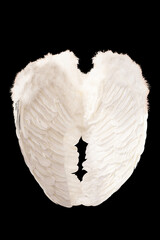 White angel wings plumage isolated on black background with clipping part