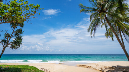 Fototapeta na wymiar Palm and tropical beach beautiful summer background