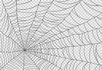 Halloween party background with spiderwebs isolated png or transparent texture,blank space for text,element template for poster,brochures, online advertising,vector illustration