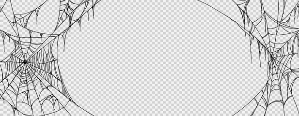 Fototapeta premium Halloween party background with spiderwebs isolated png or transparent texture,blank space for text,element template for poster,brochures, online advertising,vector illustration