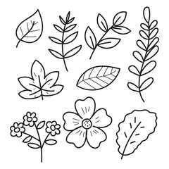 Leaf and flower doodle vector collection isolated on white background