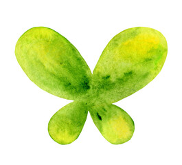 Abstract green, yellow watercolor butterfly on white background. Decorative insects illustration.