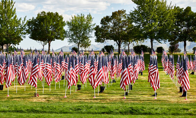 Rows of American Flags