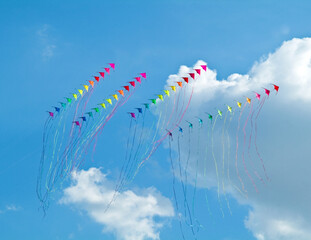 A team of kites is flying in the blue sky. Freedom and summer holiday concepts