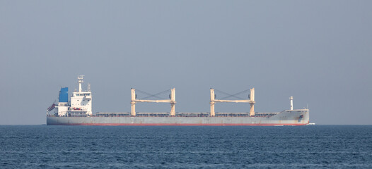 Obraz premium Big horse carrier on a background of the sky.