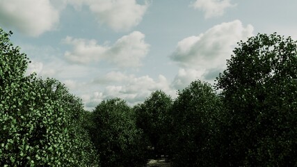 森林の背景素材。自然やナチュラルなデザインに