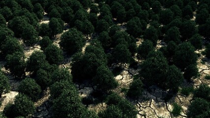 森林の背景素材。自然やナチュラルなデザインに