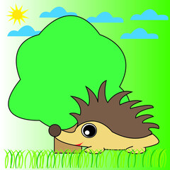 hedgehog in the forest
