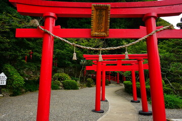 Fototapeta na wymiar Torii Gate of Hakuryuu Inari Shrine in Oita, Kyushu, Japan - 日本 九州 大分県 別府 白龍稲荷大神 鳥居 
