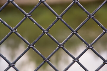 Fototapeta premium Drops of water on a metal fence